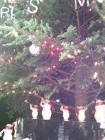 �~�L���g�̃c���[