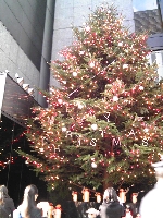 �~�L���g�̃c���[