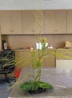 �����΂Ȏʐ^