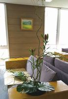 �����΂Ȏʐ^